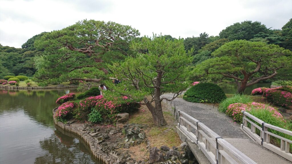 Shinjuku - Parque Shinjuku Gyoen