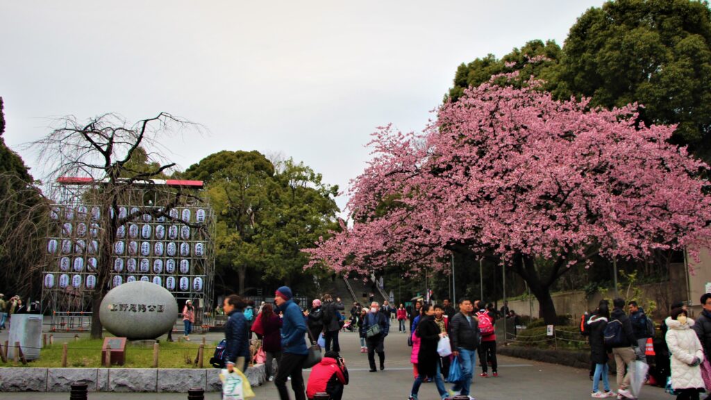 Ueno durante a primavera no Japão